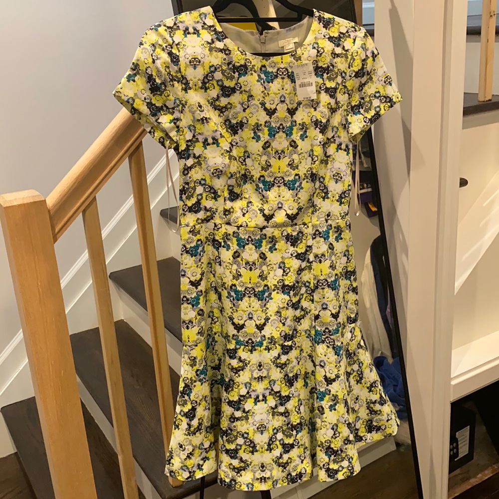 Jcrew Dress
